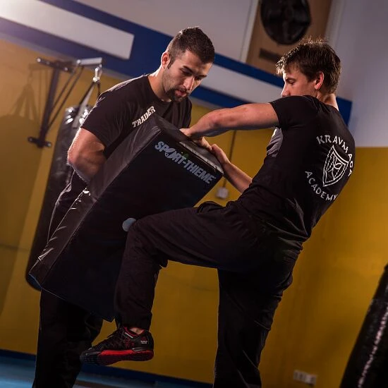 Sport-Thieme Schlagpolster "Curve" 8 Sport-Thieme Schlagpolster "Curve" – Bild 8