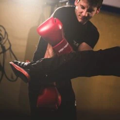 Sport-Thieme Boxhandschuhe "Workout" -Fitnessgeräte Geschäft 150 4037 2