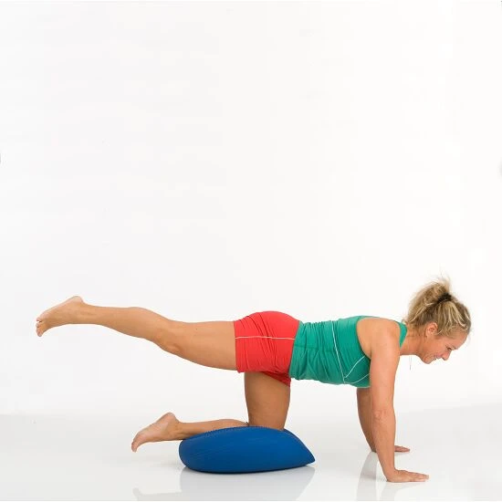 Togu Dynair Ballkissen "XXL" 5 Togu Dynair Ballkissen "XXL" – Bild 5