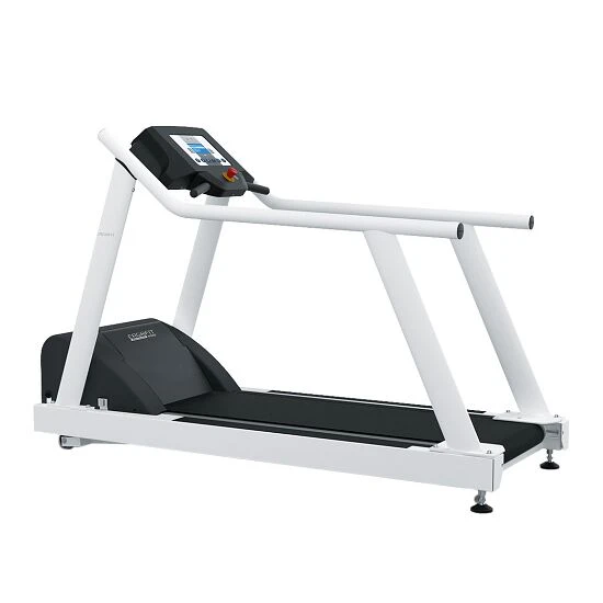 Ergofit Laufband 1 Ergofit Laufband